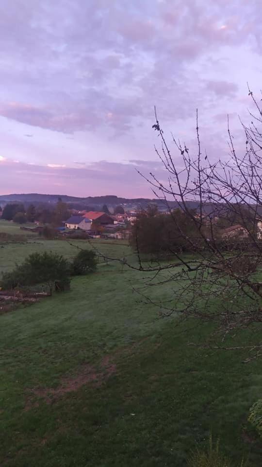 Gite Le Charme D'Argent Charmois-devant-Bruyeres Luaran gambar